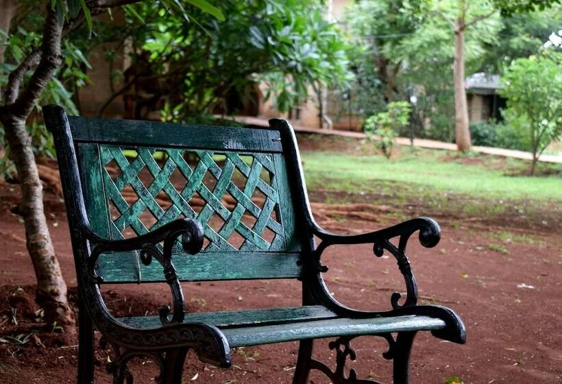 デラックスルーム, Our Native Village