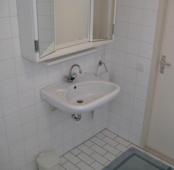 חדר אקונומי, Wim S Place Schiphol Amsterdam Airport