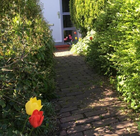 חדר אקונומי, Wim S Place Schiphol Amsterdam Airport