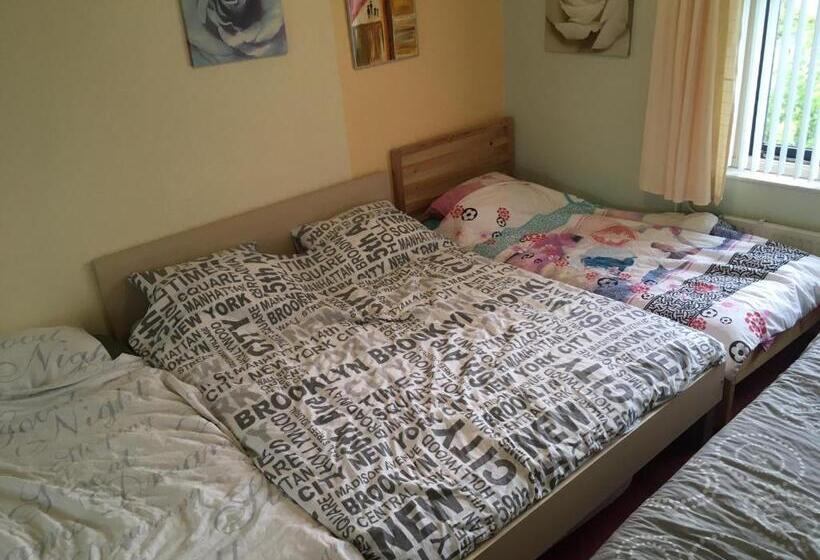 חדר בסיסי לשלושה, Wim S Place Schiphol Amsterdam Airport