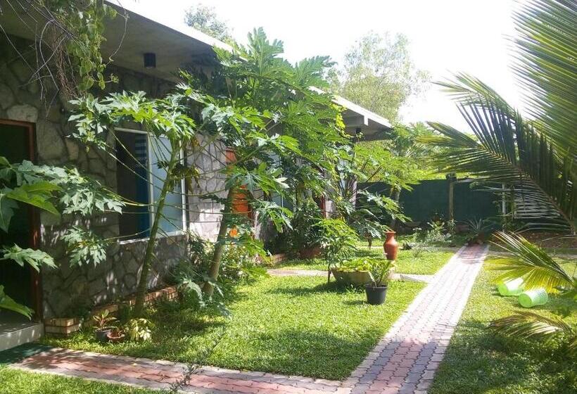 غرفة قياسية ثلاثية مطلة علي الحديقة, Airport Green