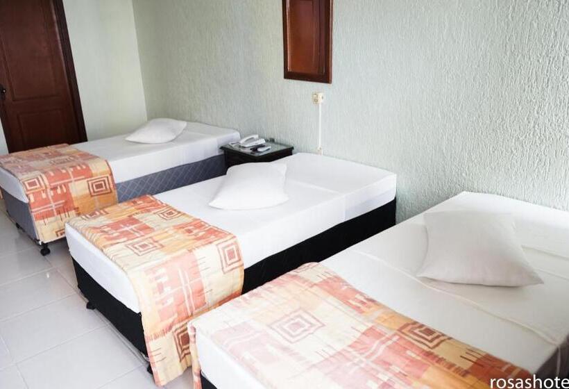 标准三人间, Rosa S