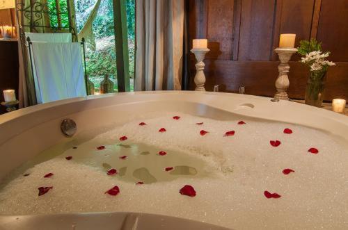 شاليه غرفة نوم واحدة, Estalagem Wiesbaden