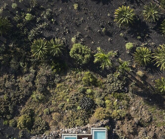 فيلا غرفة نوم واحدة مع مسبح, Royal Hideaway Corales Suites