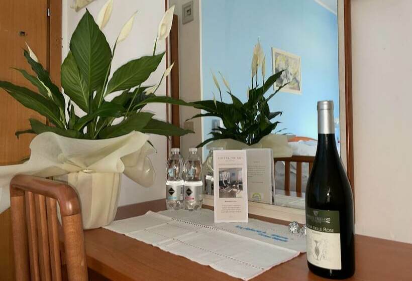 スタンダードルーム, Morri