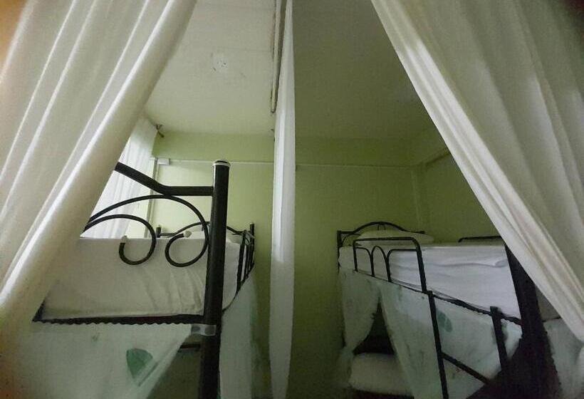 Łóżko we Wspólnym Pokoju, My Travel Homestay