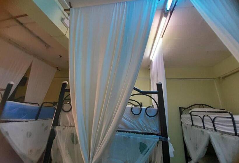 Łóżko we Wspólnym Pokoju, My Travel Homestay