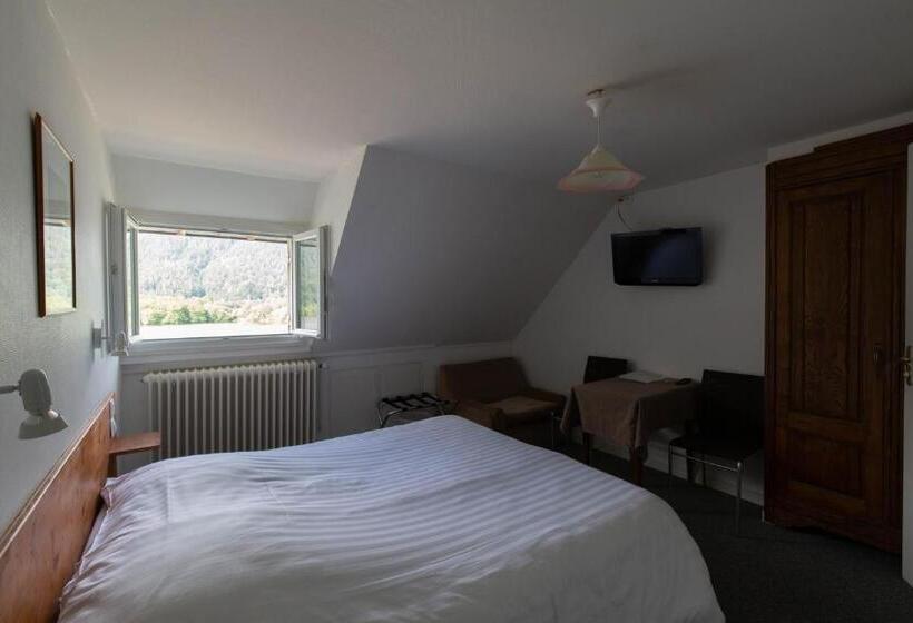 חדר פנטהאוז, Bellevue