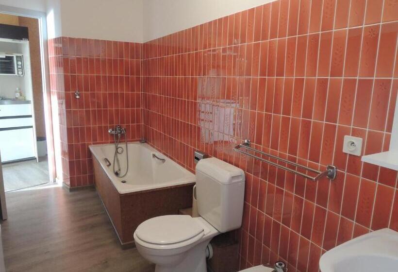 דירת חדר, Bellevue