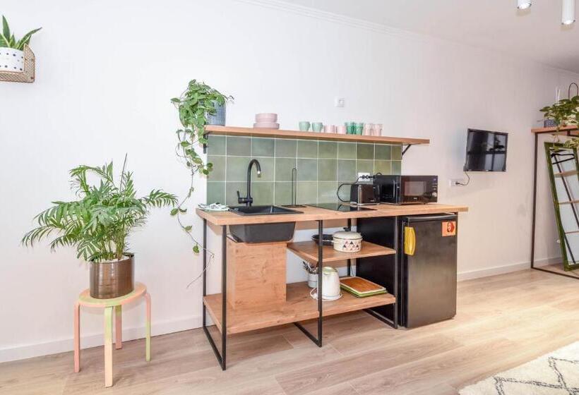 استودیو استاندارد با تخت کینگ, Hostel Havana