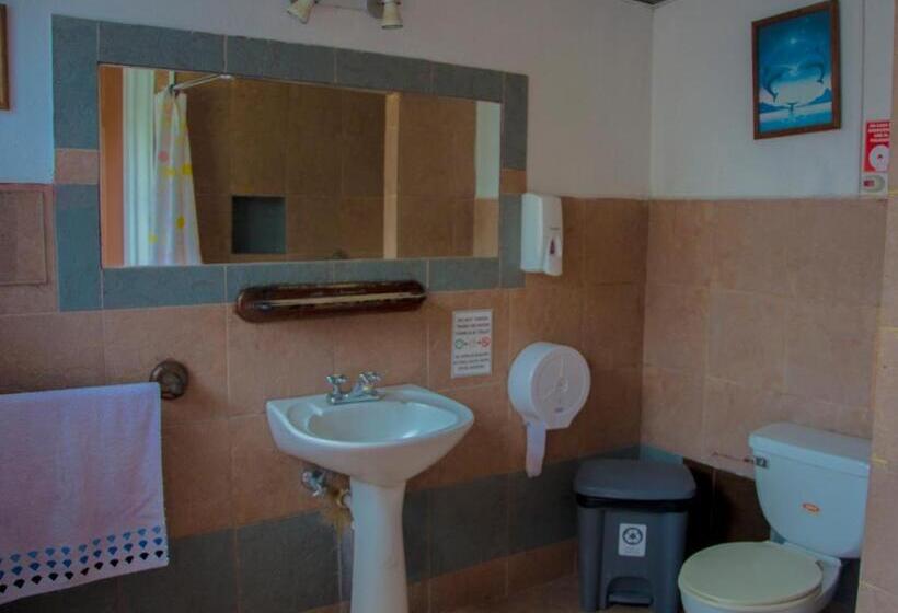 Четырехместный Номер Стандарт, Blue House Youth Hostel