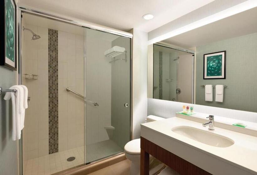 스탠다드 룸 킹사이즈 침대, Hyatt Place Page Lake Powell