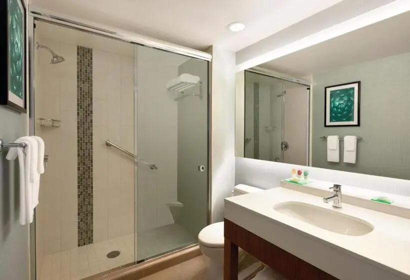 اتاق استاندارد با تخت بزرگ, Hyatt Place Page Lake Powell