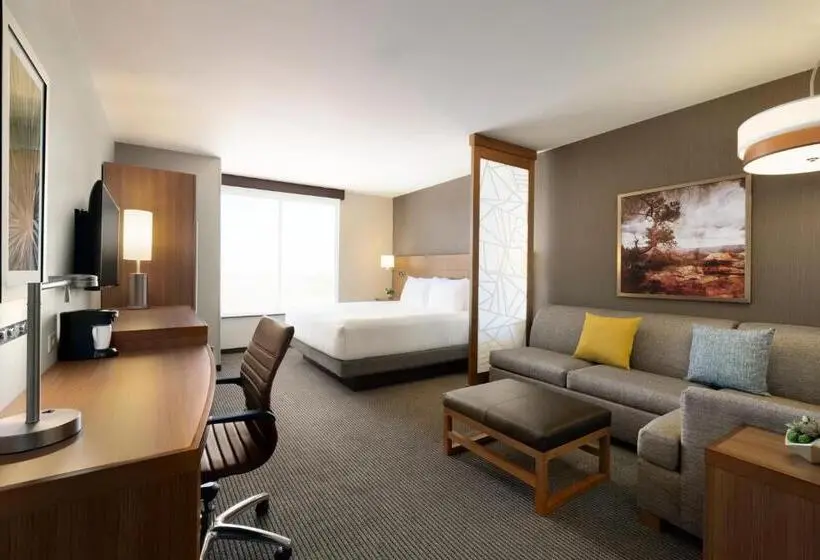 اتاق استاندارد با تخت بزرگ, Hyatt Place Page Lake Powell