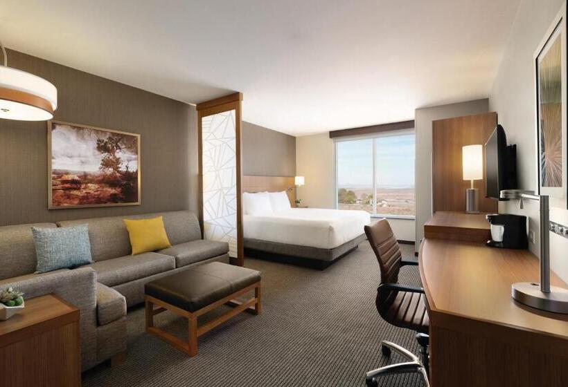 غرفة قياسية سرير كينج, Hyatt Place Page Lake Powell