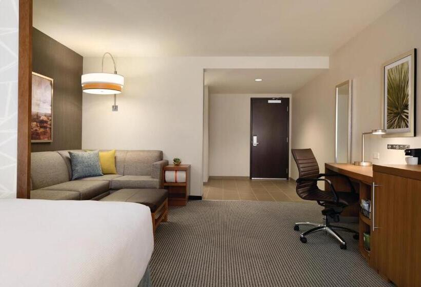 غرفة قياسية سرير كينج, Hyatt Place Page Lake Powell