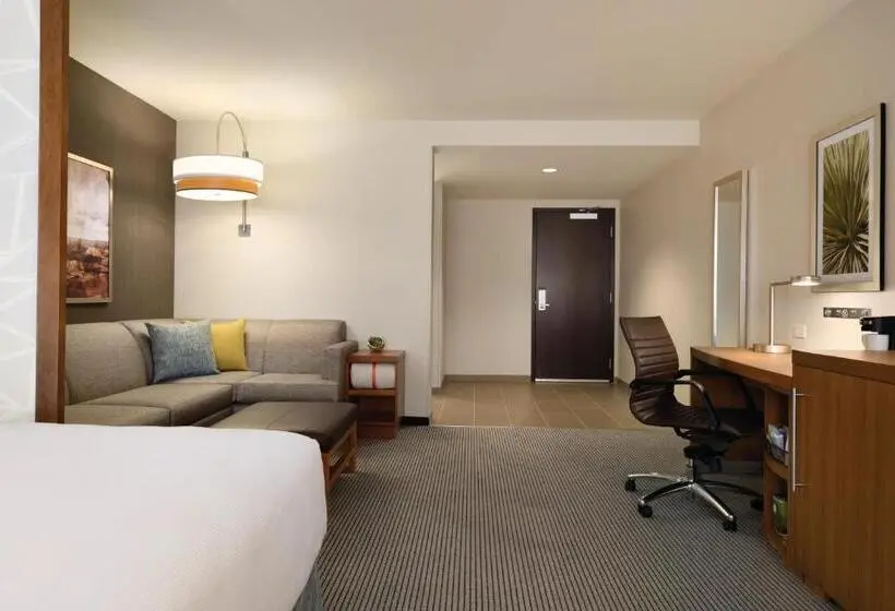 اتاق استاندارد با تخت بزرگ, Hyatt Place Page Lake Powell