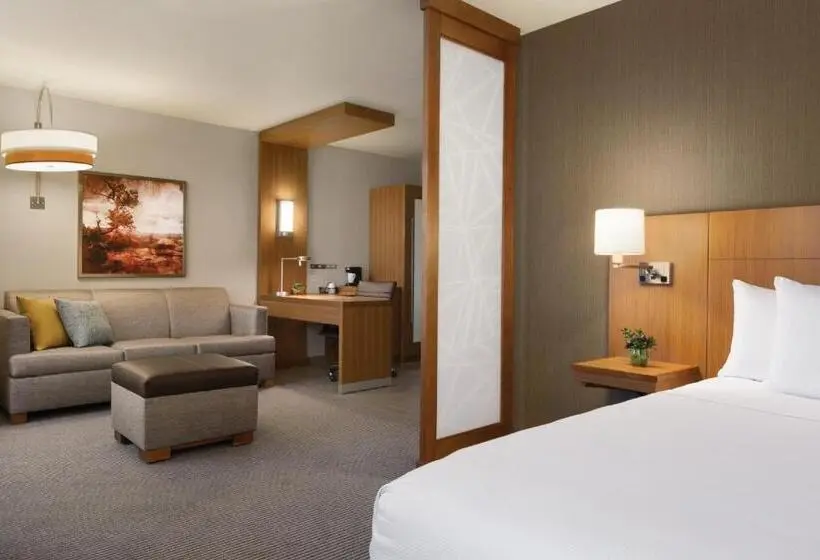 اتاق استاندارد با تخت بزرگ, Hyatt Place Page Lake Powell