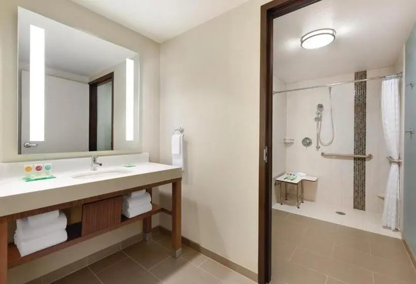 اتاق استاندارد با تخت بزرگ برای معلولان, Hyatt Place Page Lake Powell