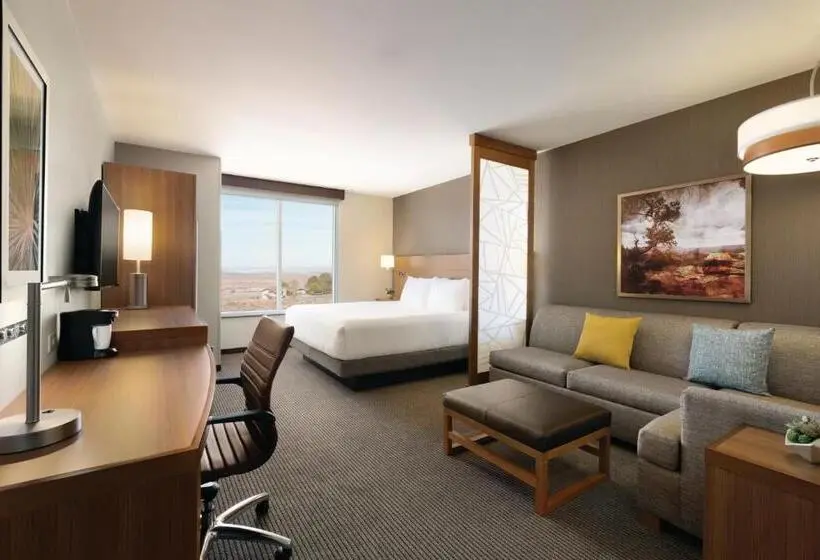 اتاق استاندارد با تخت بزرگ برای معلولان, Hyatt Place Page Lake Powell