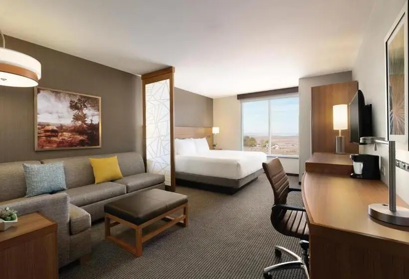اتاق استاندارد با تخت بزرگ برای معلولان, Hyatt Place Page Lake Powell