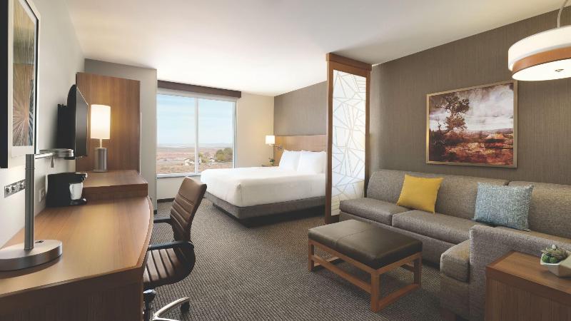 غرفة قياسية سرير كينج, Hyatt Place Page Lake Powell
