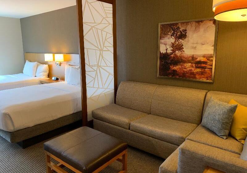 غرفة قياسية, Hyatt Place Page Lake Powell