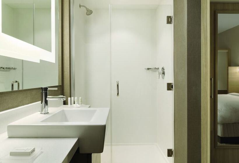 Mozgáskorlátozott Suite, Springhill Suites By Marriott Allentown Bethlehem/center Valley