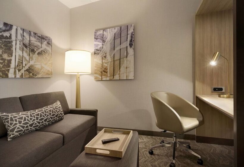 Mozgáskorlátozott Suite, Springhill Suites By Marriott Allentown Bethlehem/center Valley