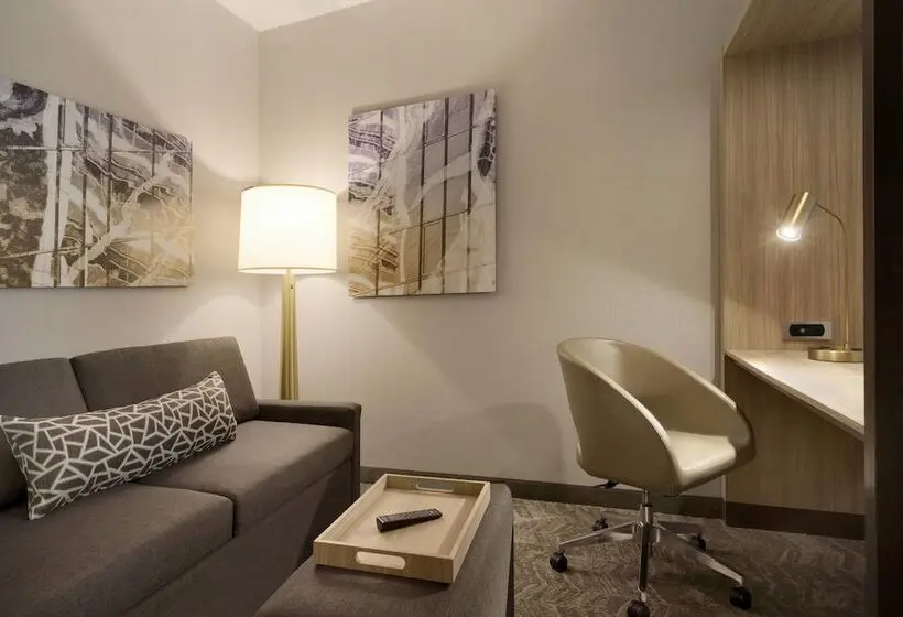 身障者適用スイートルーム, Springhill Suites By Marriott Allentown Bethlehem/center Valley
