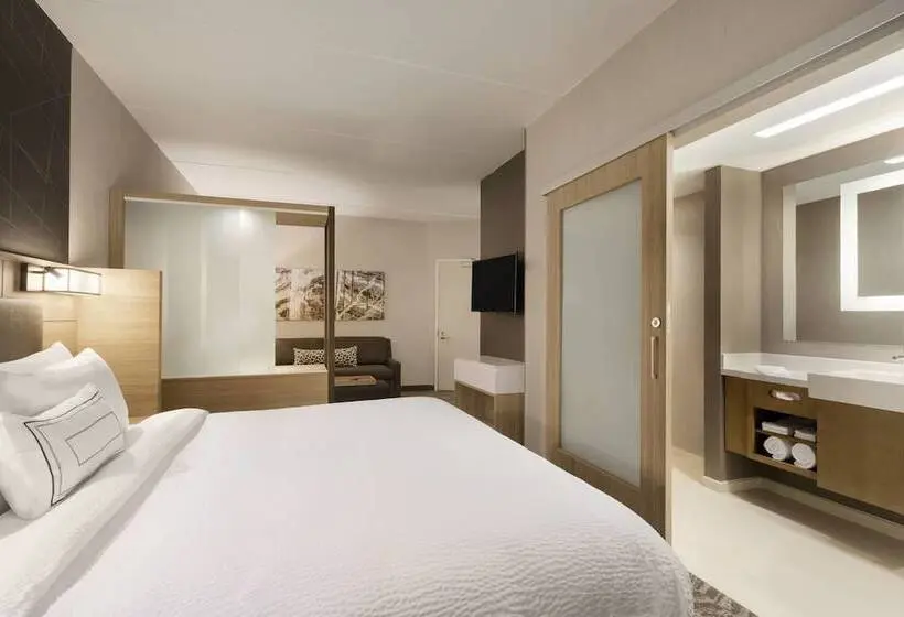 身障者適用スイートルーム, Springhill Suites By Marriott Allentown Bethlehem/center Valley