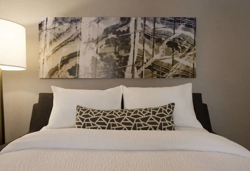 身障者適用スイートルーム, Springhill Suites By Marriott Allentown Bethlehem/center Valley