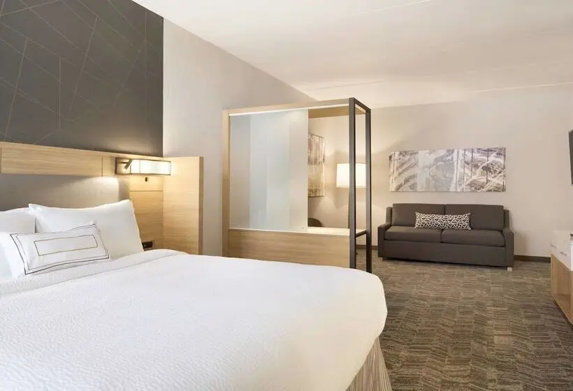 身障者適用スイートルーム, Springhill Suites By Marriott Allentown Bethlehem/center Valley
