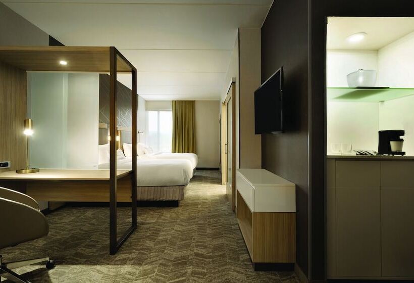 장애인을 위한 스위트, Springhill Suites By Marriott Allentown Bethlehem/center Valley