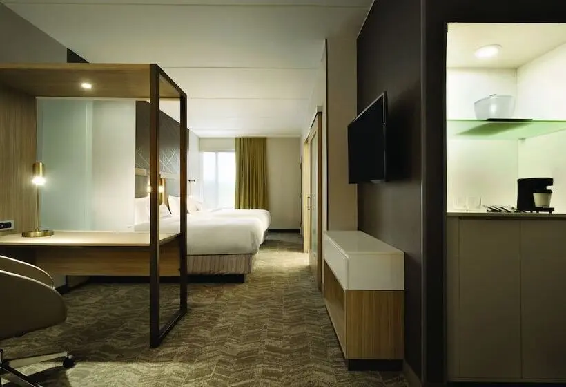 身障者適用スイートルーム, Springhill Suites By Marriott Allentown Bethlehem/center Valley