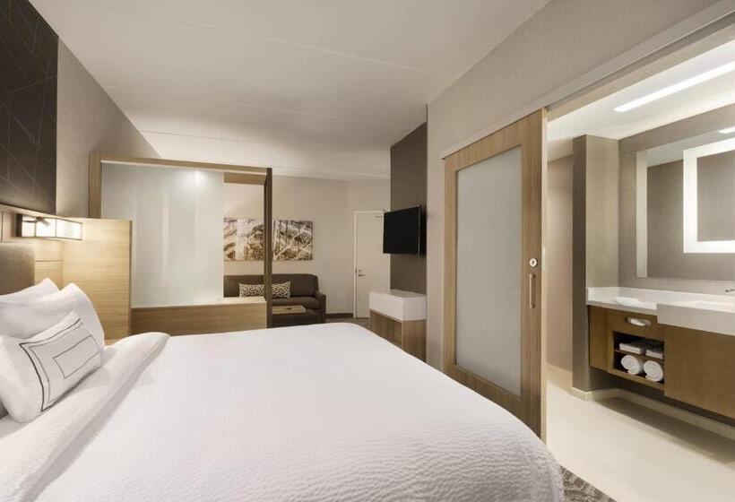 스위트 킹사이즈 침대, Springhill Suites By Marriott Allentown Bethlehem/center Valley
