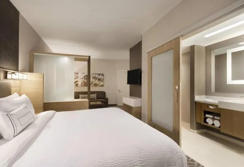 キングサイズベッドのスイートルーム, Springhill Suites By Marriott Allentown Bethlehem/center Valley