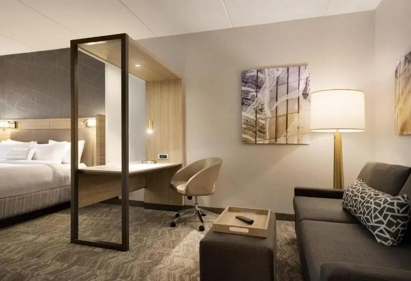 キングサイズベッドのスイートルーム, Springhill Suites By Marriott Allentown Bethlehem/center Valley
