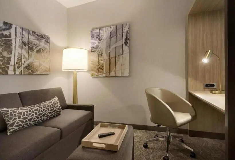 キングサイズベッドのスイートルーム, Springhill Suites By Marriott Allentown Bethlehem/center Valley