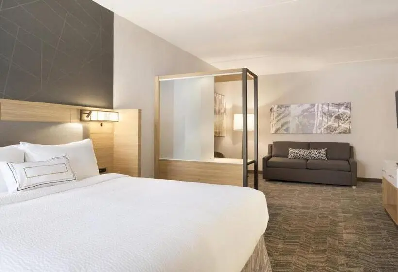 キングサイズベッドのスイートルーム, Springhill Suites By Marriott Allentown Bethlehem/center Valley