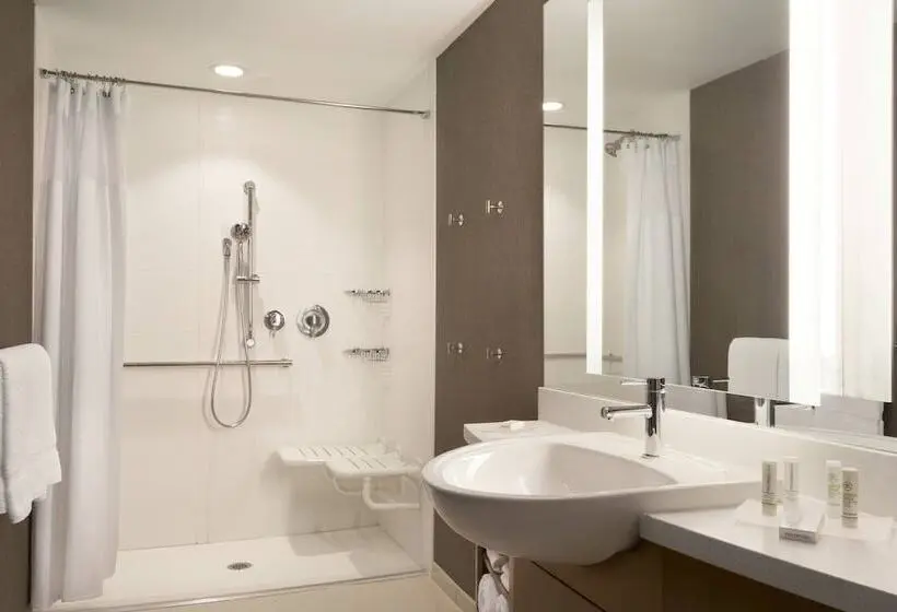 スイート, Springhill Suites By Marriott Allentown Bethlehem/center Valley