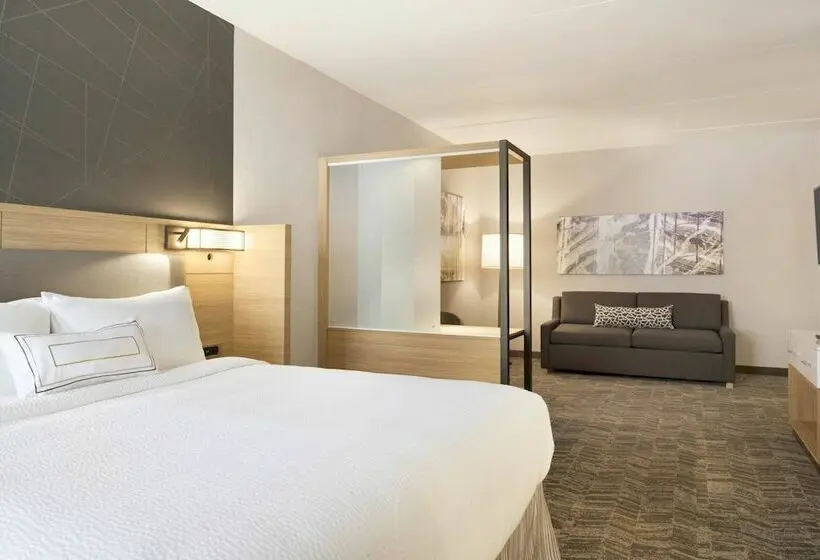 スイート, Springhill Suites By Marriott Allentown Bethlehem/center Valley