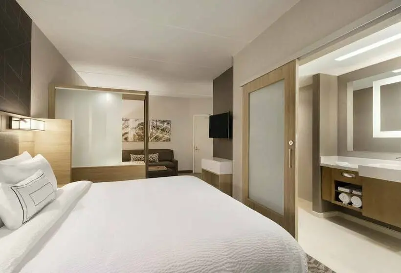 スイート, Springhill Suites By Marriott Allentown Bethlehem/center Valley