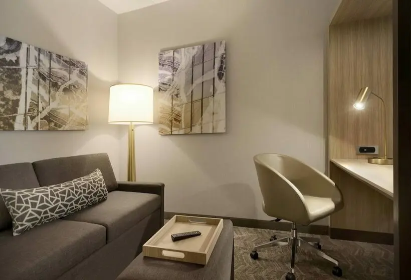 スイート, Springhill Suites By Marriott Allentown Bethlehem/center Valley