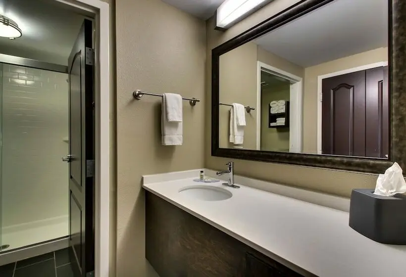 スタンダードスタジオ, Staybridge Suites Rock Hill, An Ihg