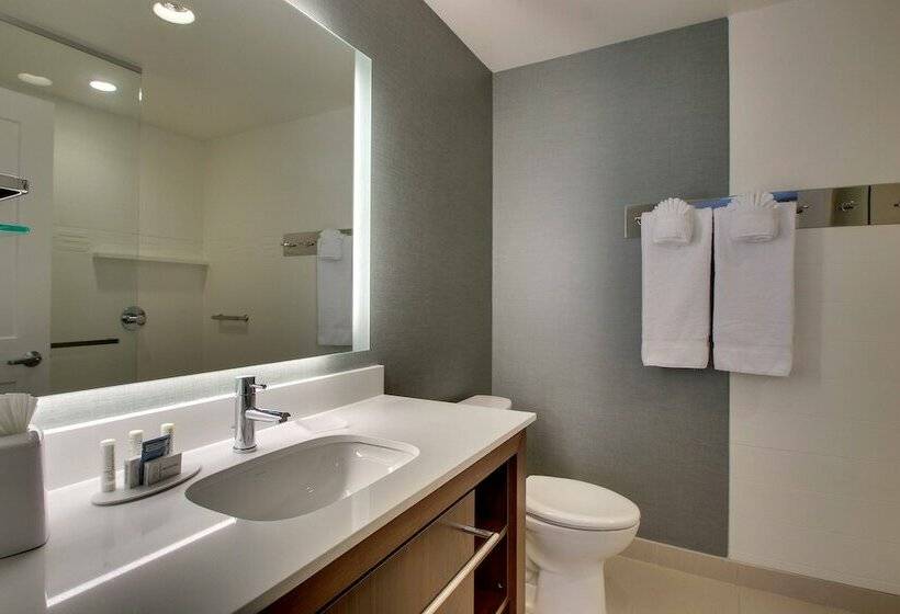 جناح, Residence Inn By Marriott Philadelphia Valley Forge/collegeville