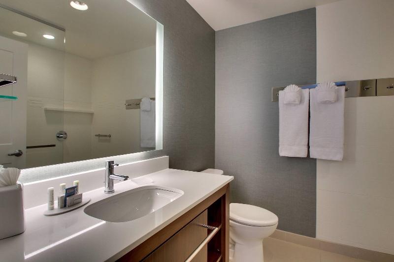 Люкс, Residence Inn By Marriott Philadelphia Valley Forge/collegeville