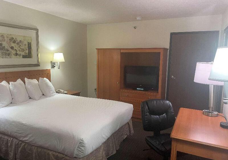 غرفة بريميوم, Ease Access Wan Chai