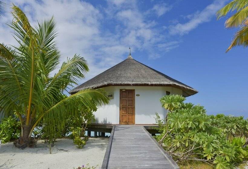 بانگلوی استاندارد, Safari Island