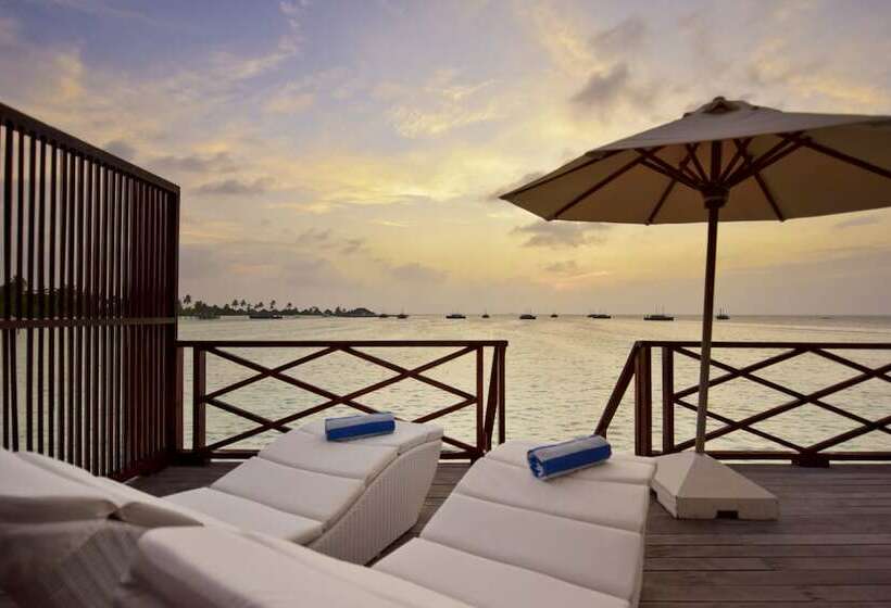 بانگلوی استاندارد, Safari Island